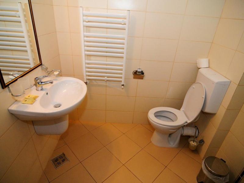 Hotel Termal Geoagiu Băi Exteriér fotografie