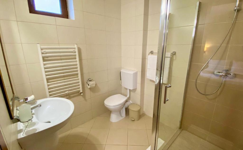 Hotel Termal Geoagiu Băi Exteriér fotografie
