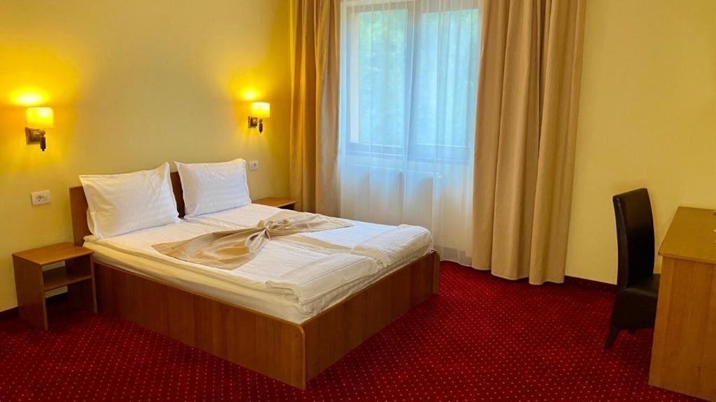 Hotel Termal Geoagiu Băi Exteriér fotografie